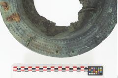 Foto von Bronzebreitrandschüssel (NHMW-PRAE-026417)